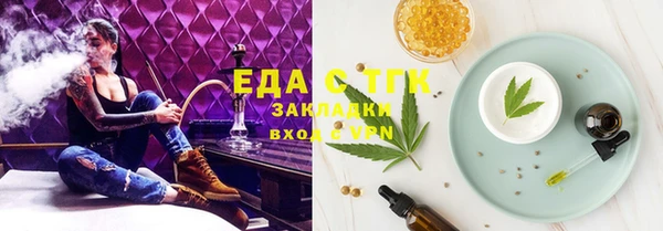 индика Каменка