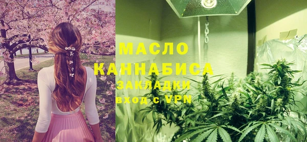 индика Каменка