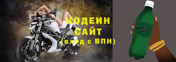 индика Каменка