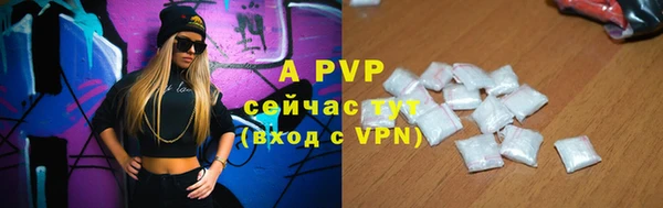 индика Каменка