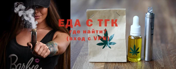 индика Каменка