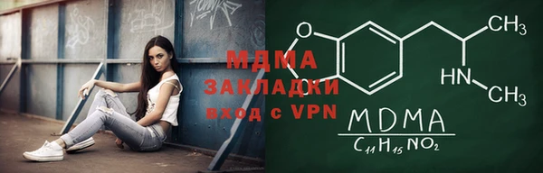 индика Каменка