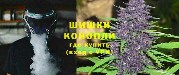 индика Каменка