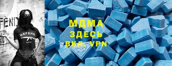 spice Инта