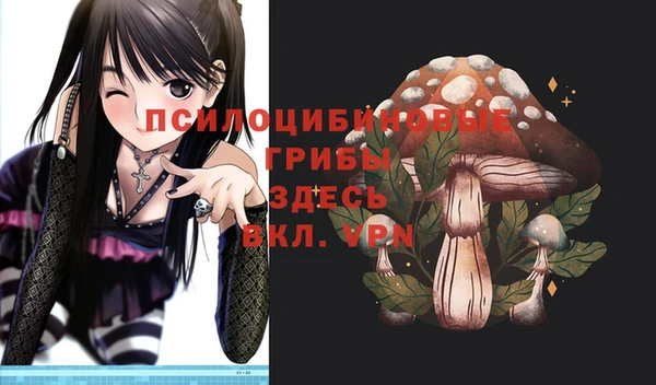 индика Каменка