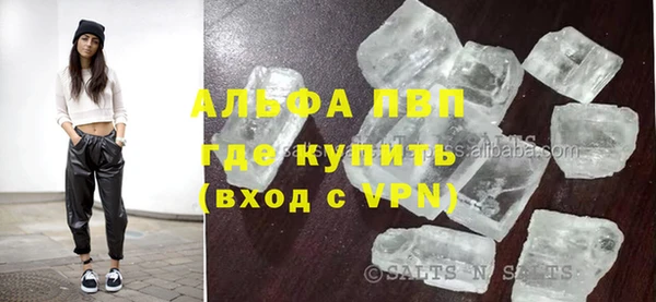 индика Каменка