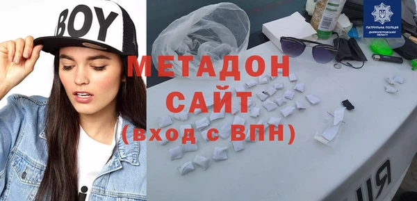 индика Каменка