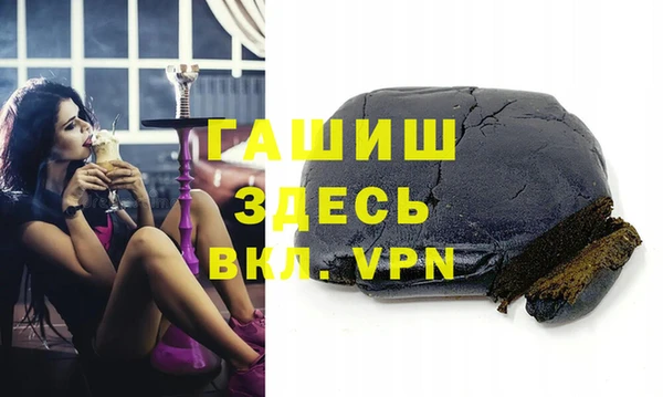 индика Каменка