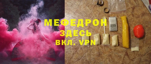 индика Каменка