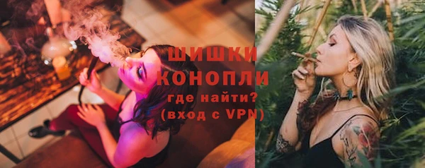 индика Каменка