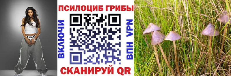 Псилоцибиновые грибы Psilocybe  Кинешма 